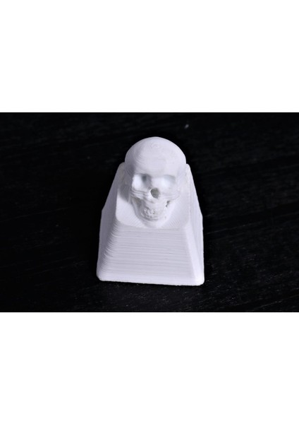 Kafatası Anahtar Kapağı (Plastik Aparattır!!!)