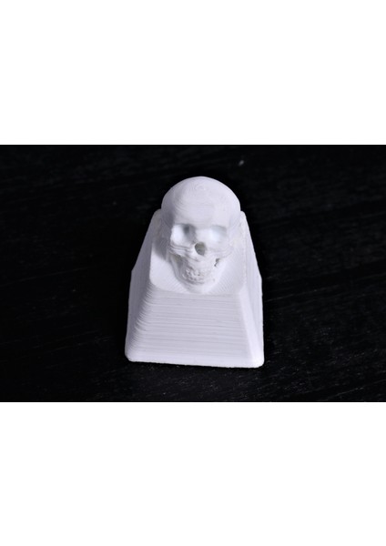Kafatası Anahtar Kapağı (Plastik Aparattır!!!) fiyatları