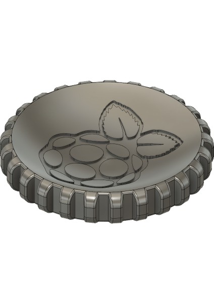 Ahududu Pi Madeni Para (Plastik Aparattır!!!) fiyatları