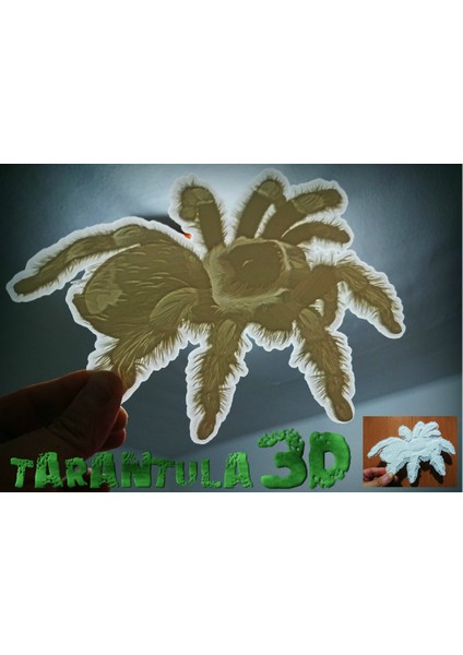 Tarantula Litofan (Plastik Aparattır!!!)