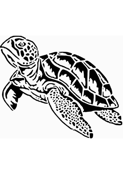 Deniz Kaplumbağası Şablonu (Plastik Aparattır!!!)