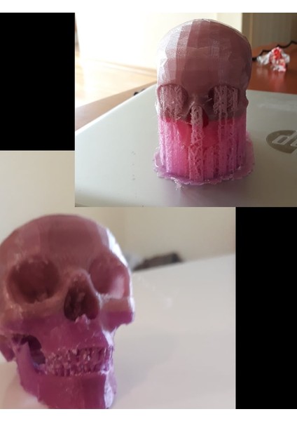 Insan Kafatası (Plastik Aparattır!!!) fırsatları