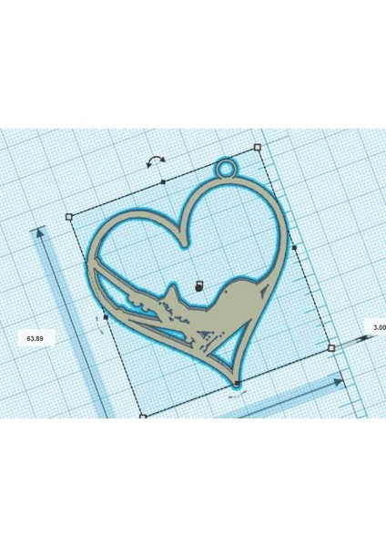 Kedi Kalbi - Kedi Kalbi (Plastik Aparattır!!!)