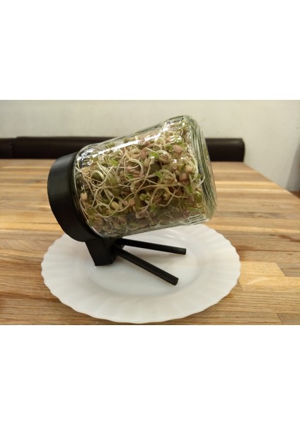 Tohum Filiz Camı (Plastik Aparattır!!!)