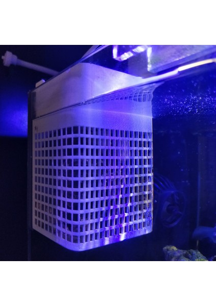 Nano Resif Akvaryumu Için Üreme Tuzağı / Akvaryum Ekici / Balık Hastanesi (Plastik Aparattır!!!) fırsatları