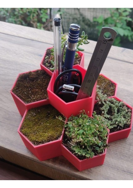 Saksı, Kalem Tutucu, Altıgen Şekli (Plastik Aparattır!!!) fiyatları