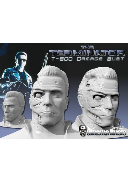 T-800 Hasar Baskısı (28MB) (Plastik Aparattır!!!)
