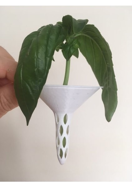 Çeliklerden Fesleğen Yetiştirmek Için Mason Kavanoz Kapağı (Plastik Aparattır!!!)