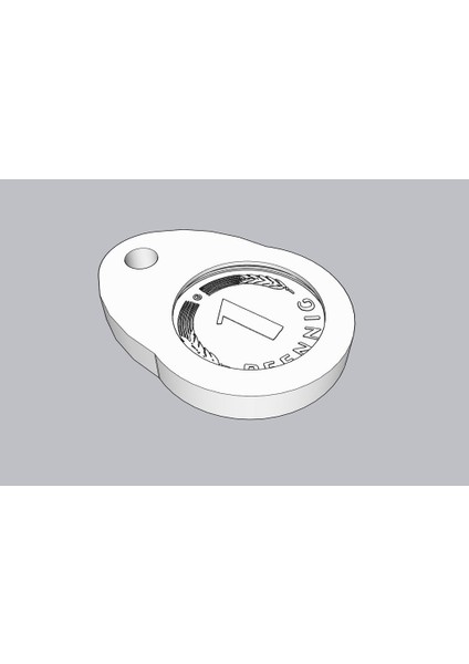 Madeni Para "şanslı Kuruş" Anahtarlık (Plastik Aparattır!!!)