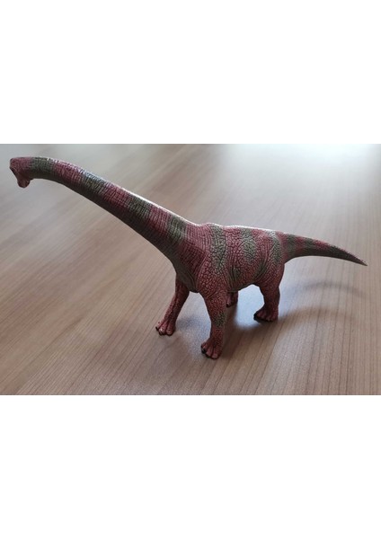 Uzun Boyunlu Dinozor (Plastik Aparattır!!!)