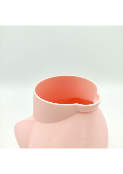 Birdie - Bir Kuş Gibi Soyut Flowerpot (Plastik Aparattır!!!)
