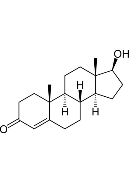 Testosteron Molekül Modeli (Plastik Aparattır!!!)