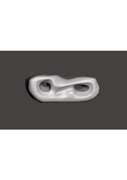 Gül Duvarı, Dame Barbara Hepworth (Plastik Aparattır!!!)