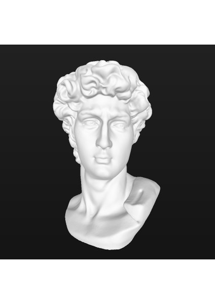 David（revopoint Pop 3D Tarayıcı Tarafından Tarandı） (Plastik Aparattır!!!)