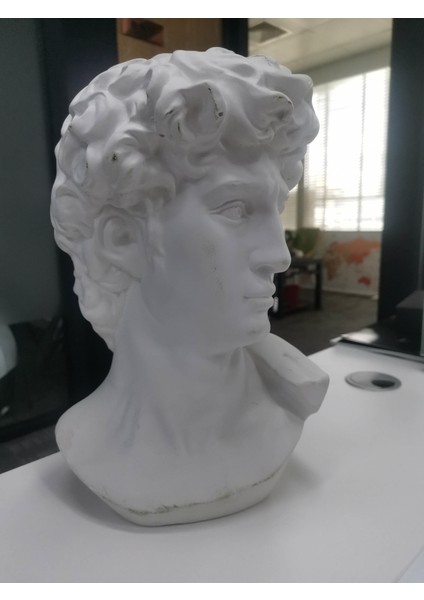 David（revopoint Pop 3D Tarayıcı Tarafından Tarandı） (Plastik Aparattır!!!)
