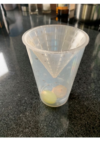 Meyve Sinek Tuzağı / Meyve Sinekleri Yakalayıcı (Plastik Aparattır!!!)