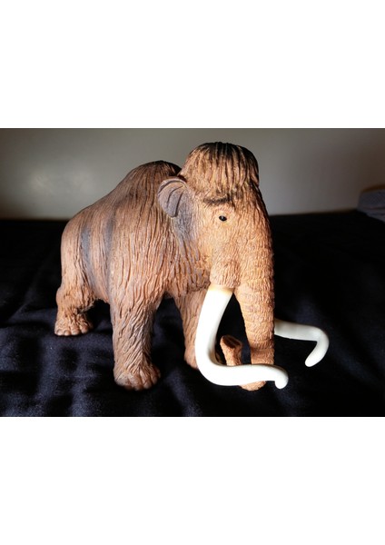 Mamut (Plastik Aparattır!!!) fiyatları