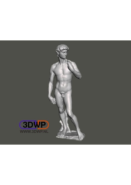 David Michelangelo Heykeli (Heykel 3D Tarama) (Plastik Aparattır!!!)