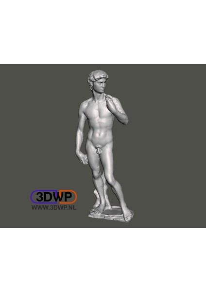 David Michelangelo Heykeli (Heykel 3D Tarama) (Plastik Aparattır!!!) fiyatları