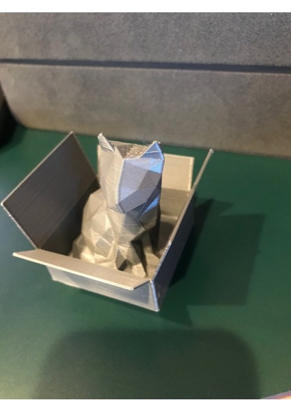 Kutudaki Kedi (Plastik Aparattır!!!) indirimleri