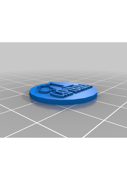 1 Capybara Madeni Para (Plastik Aparattır!!!) fiyatları