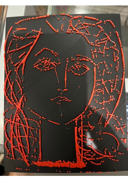 Picasso Resim (Plastik Aparattır!!!)