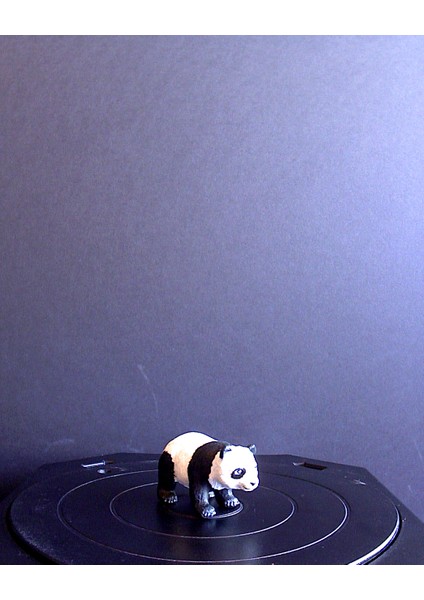 Küçük Panda Ayısı (Plastik Aparattır!!!)