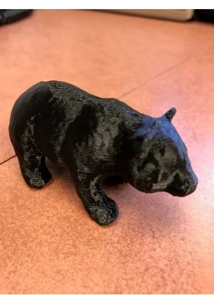 Küçük Panda Ayısı (Plastik Aparattır!!!)
