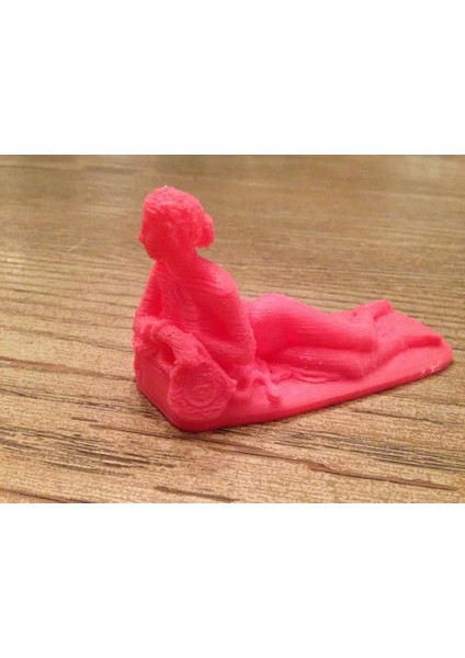 Bizim Hanımefendi (Plastik Aparattır!!!)