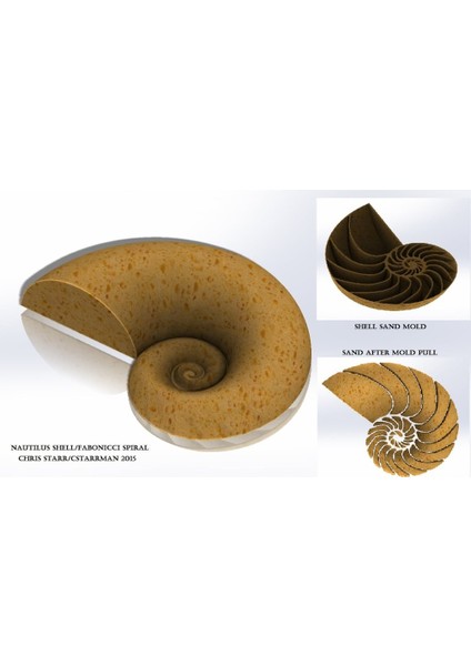 Nautilus Kabuğu Kalesi (Fabonacci/logaritmik Spiral) (Plastik Aparattır)