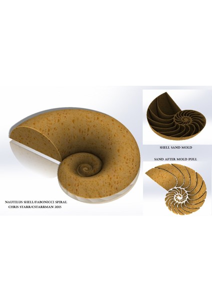 Nautilus Kabuğu Kalesi (Fabonacci/logaritmik Spiral) (Plastik Aparattır)