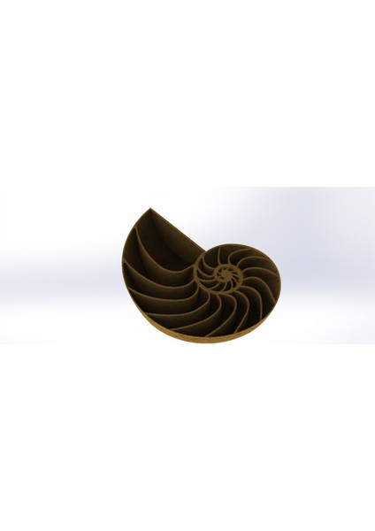 Nautilus Kabuğu Kalesi (Fabonacci/logaritmik Spiral) (Plastik Aparattır)