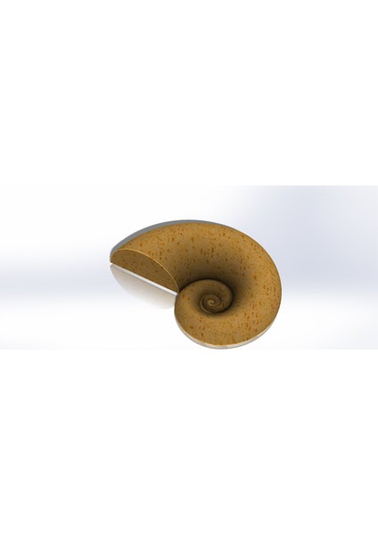 Nautilus Kabuğu Kalesi (Fabonacci/logaritmik Spiral) (Plastik Aparattır)