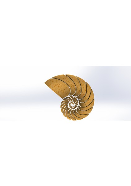 Nautilus Kabuğu Kalesi (Fabonacci/logaritmik Spiral) (Plastik Aparattır)