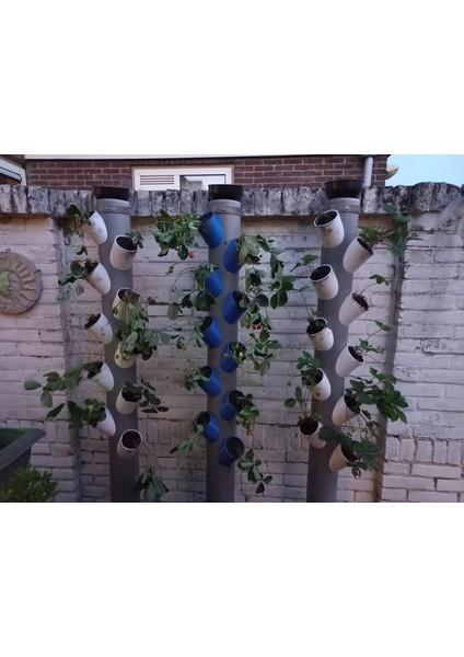 Dikey Çilek Bahçesi Için Tüp (Plastik Aparattır) fırsatları