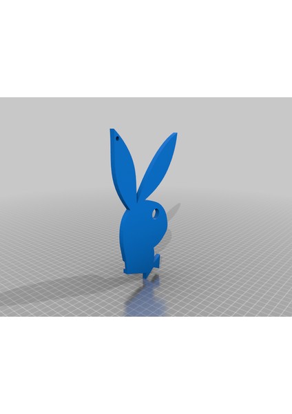 Playboy Anahtarlık (Plastik Aparattır!!!)