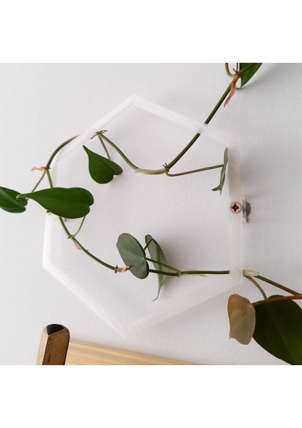 Duvara Monte Tırmanma Tesisi Desteği (Plastik Aparattır!!!) fiyatları