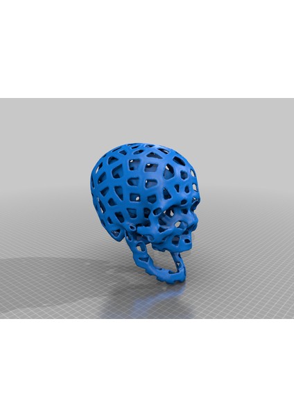 Voronoi Kafatası ile ?beyin Odası? (Plastik Aparattır!!!) fiyatları