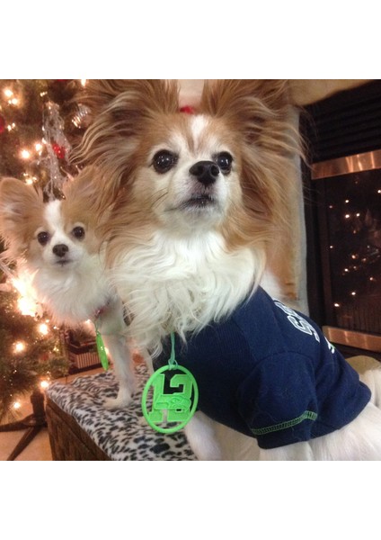 Seahawks Madeni Para/rozet (Plastik Aparattır) modelleri