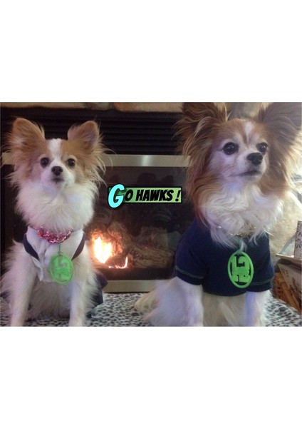 Seahawks Madeni Para/rozet (Plastik Aparattır) fırsatları