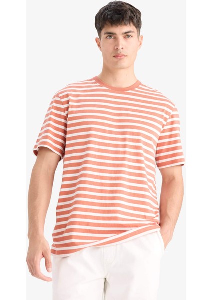 %100 Pamuk Regular Fit Bisiklet Yaka Kısa Kollu Çizgili Tişört E2637AX25SM fırsatları