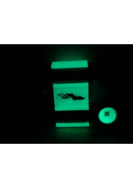 Çift Zebralight Kask Montajı (Gopro) (Plastik Aparattır) fırsatları