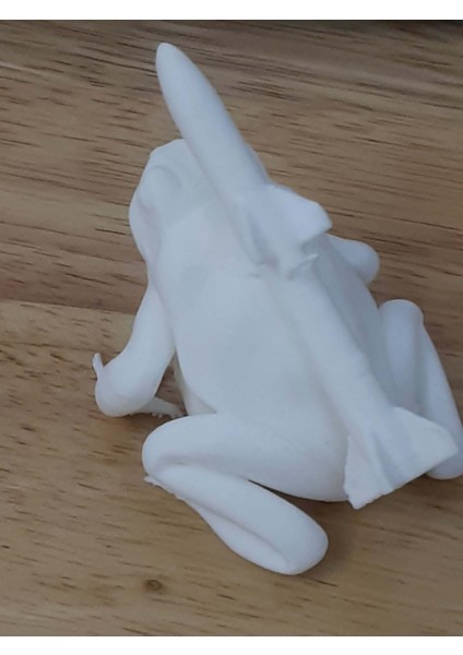 Menzilli Kurbağa (Ökse Otu Süsü) (Plastik Aparattır!!!) fırsatları