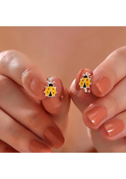 Gümüş Uğur Böceği Çocuk Küpesi fiyatları