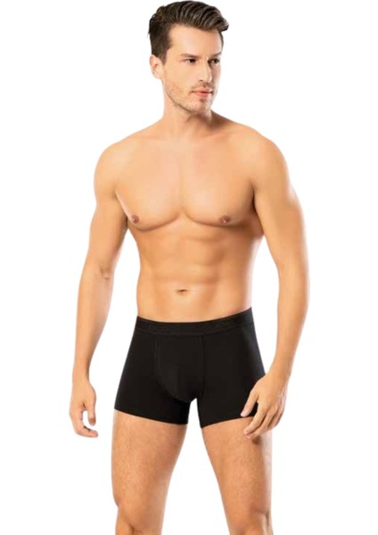 Looksense Erkek Dude 2 Li Düz ve Desenli Likralı Boxer 1403 fiyatları