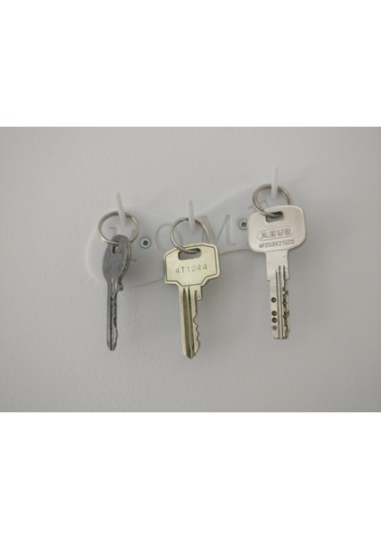 Anahtar Sahibi (Plastik Aparattır!!!) modelleri