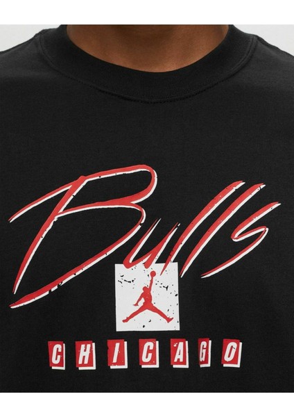 Chicago Bulls M90 Ss Tee Erkek Tişört Ndd Sport fiyatları