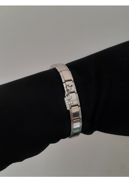 Çelik F Harfli Zirkon Taşlı Italyan Charm Bileklik fiyatları