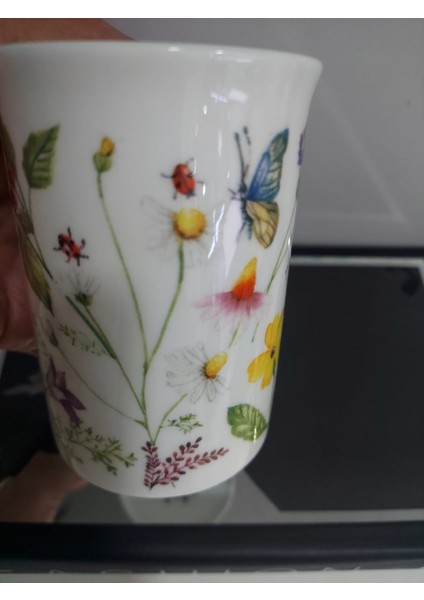 Rose Of England Kupa Fine Bone China Designed United Kingdom 1 Adet fiyatları