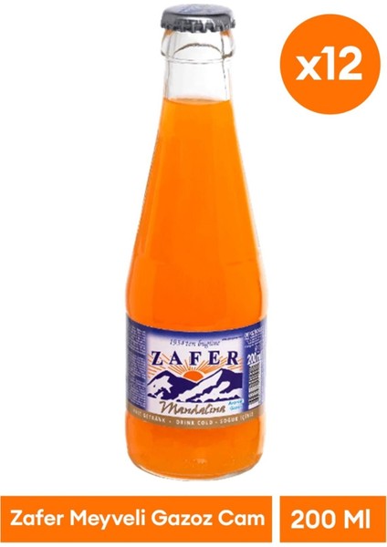 Gazoz Meyveli 12x200ml